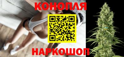 a pvp Бийск