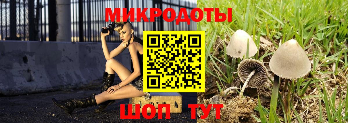 Галлюциногенные грибы мицелий  Псилоцибиновые грибы ЛСД  Вход с VPN  Каспийск 