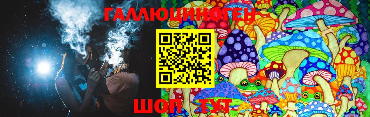 Галлюциногенные грибы Psilocybe Каспийск